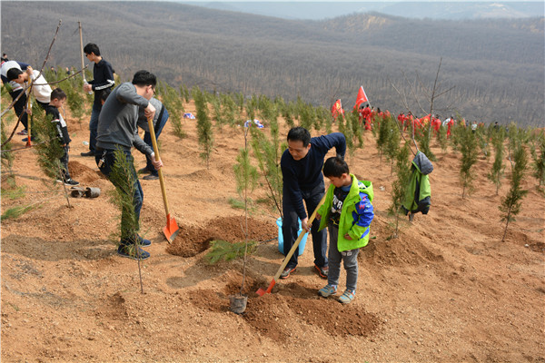 文博中心項目部開(kāi)展義務(wù)植樹(shù)活動(dòng)